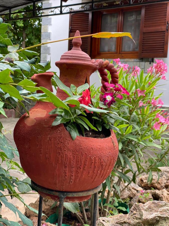 Beachfront Cottage Nea Triglia Εξωτερικό φωτογραφία